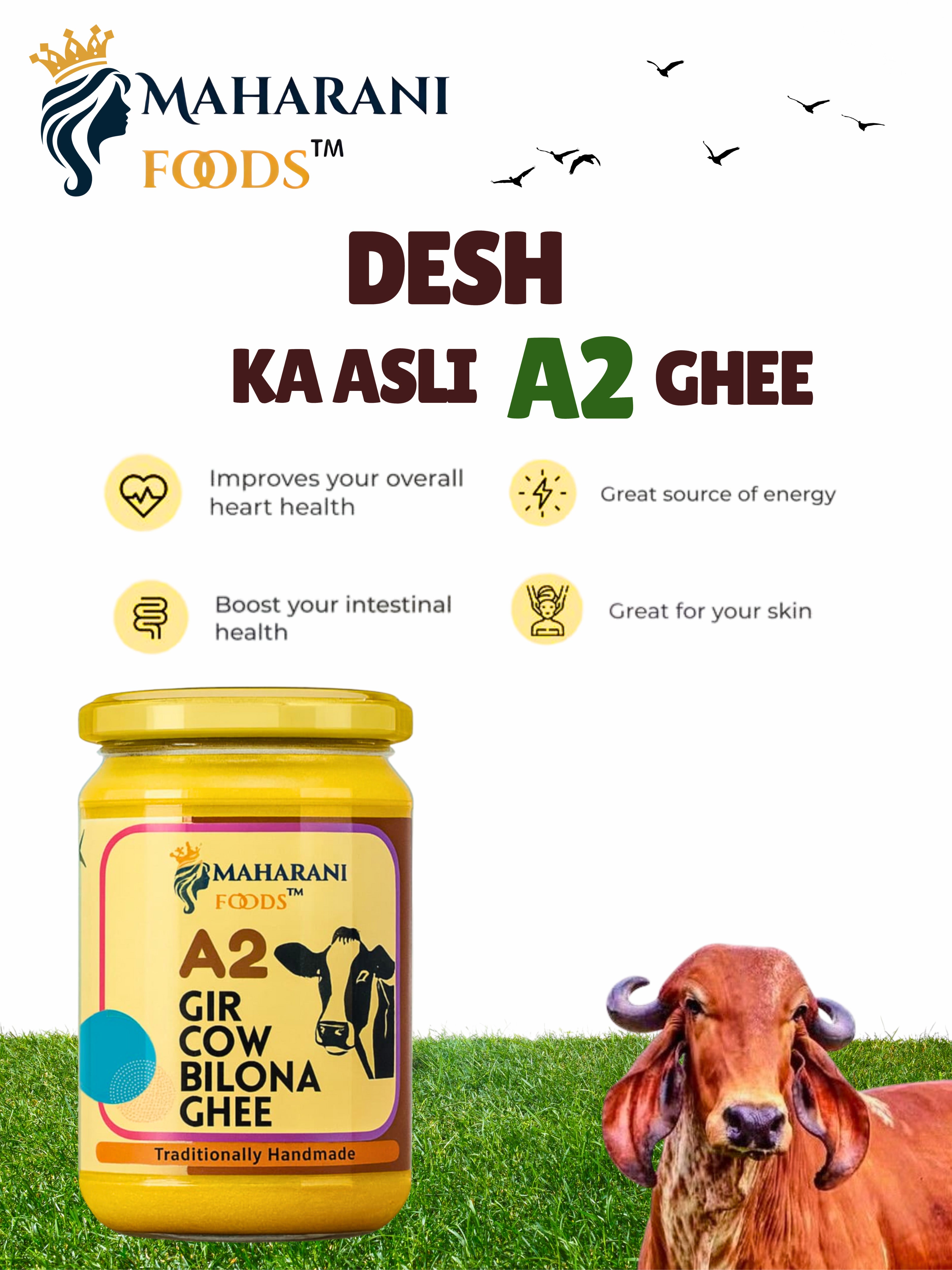 MAHARANI FOODS A2 Gir Cow Ghee 500 ML | Traditional Bilona Method A2 Gir Cow Ghee | Grass-fed, Pure and Healthy Desi Cow Ghee Glass Bottle